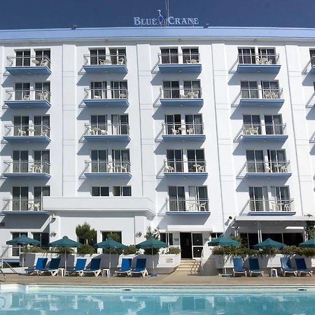Blue Crane Hotel Apts Limassol Bagian luar foto